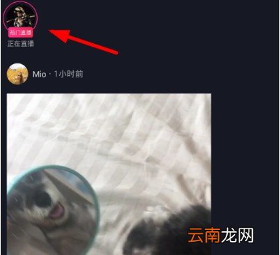 抖音中加入粉丝团详细操作步骤