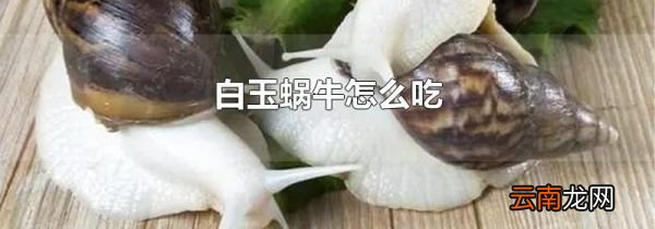 白玉蜗牛怎么吃