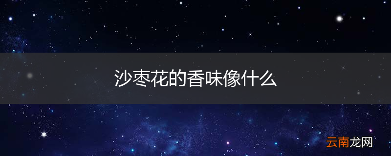 沙枣花的香味像什么
