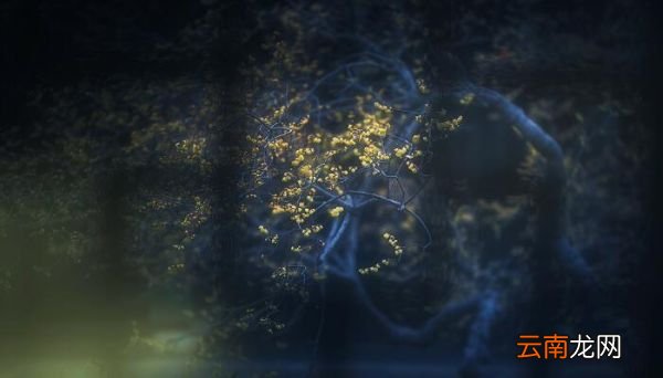 寒夜古诗拼音版 寒夜古诗杜耒拼音版