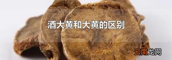酒大黄和大黄的区别