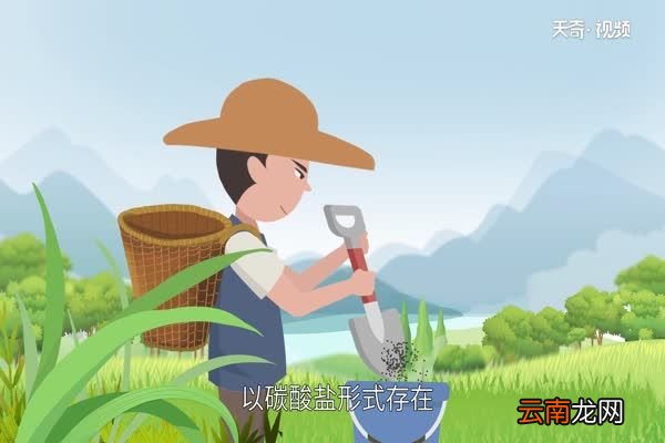 草木灰的主要成分草木灰的主要成分有哪些