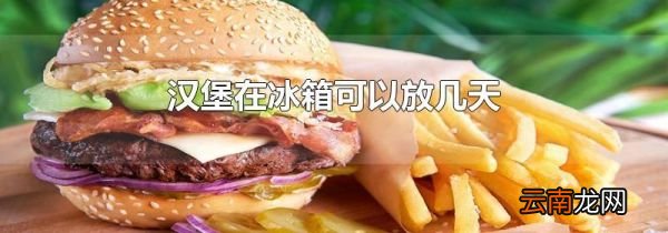 汉堡在冰箱可以放几天