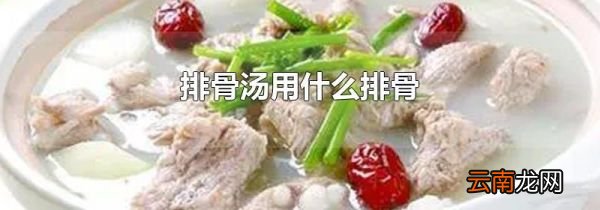 排骨汤用什么排骨