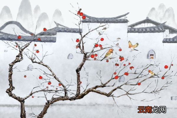 题李凝幽居全诗拼音题李凝幽居翻译