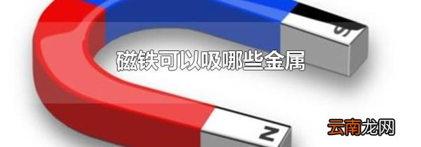 磁铁可以吸哪些金属