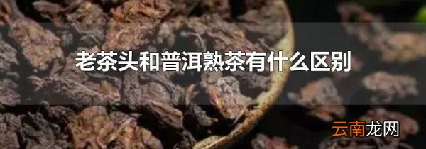 老茶头和普洱熟茶有什么区别