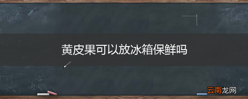黄皮果可以放冰箱保鲜吗