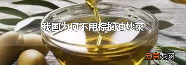 我国为何不用棕榈油炒菜