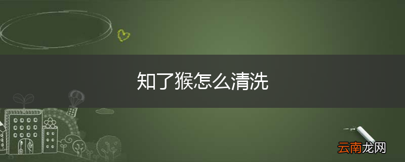 知了猴怎么清洗