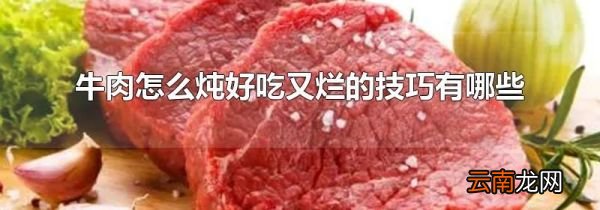 牛肉怎么炖好吃又烂的技巧有哪些