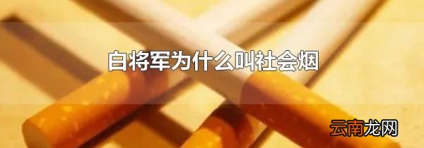 白将军为什么叫社会烟