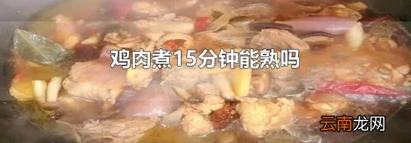 鸡肉煮15分钟能熟吗