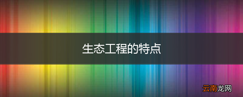 生态工程的特点
