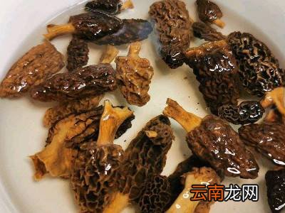 怎样把羊肚菌里的沙子洗干净