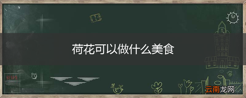 荷花可以做什么美食