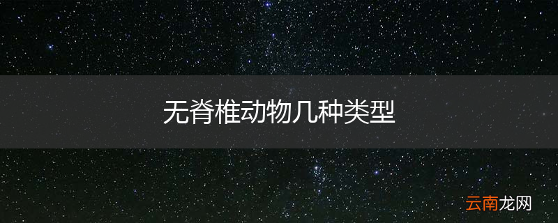 无脊椎动物几种类型