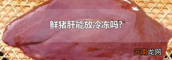 鲜猪肝能放冷冻吗?