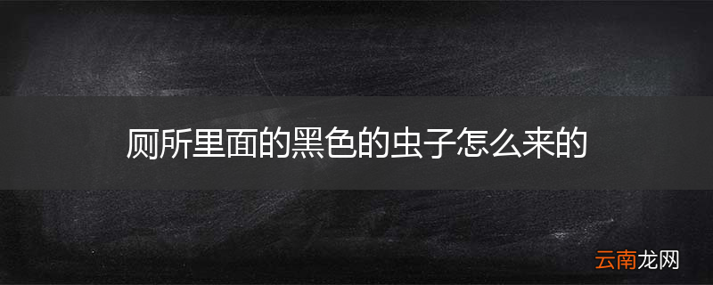 厕所里面的黑色的虫子怎么来的