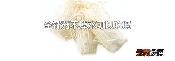 金针菇不焯水可以吃吗