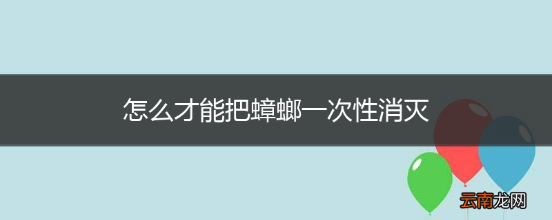 怎么才能把蟑螂一次性消灭