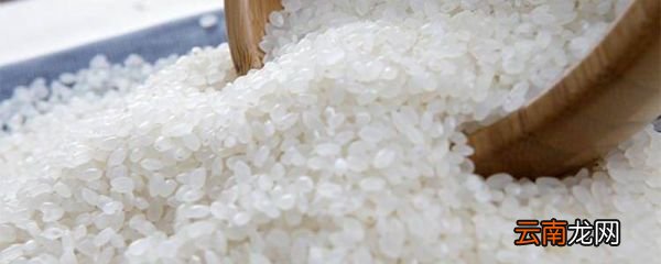 大米可以放冰箱吗 大米如何保存不生虫子