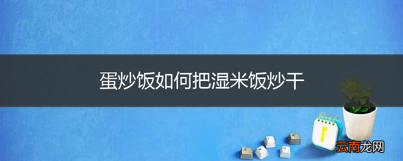 蛋炒饭如何把湿米饭炒干