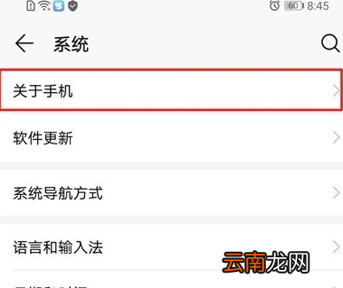 荣耀20i中将开发者选项打开具体操作步骤