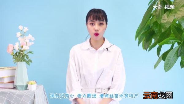 广州旅游攻略 广州两日游自由行攻略