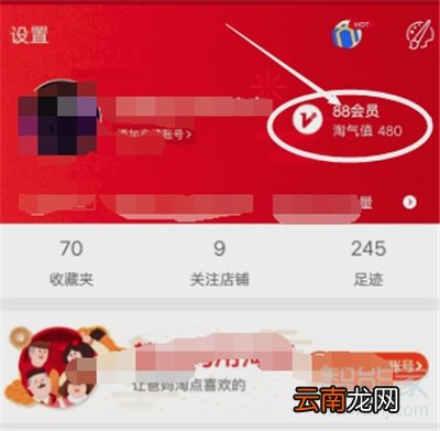 淘宝88VIP怎么兑换优酷会员
