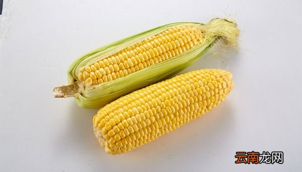 玉米的热量 玉米有哪些功效