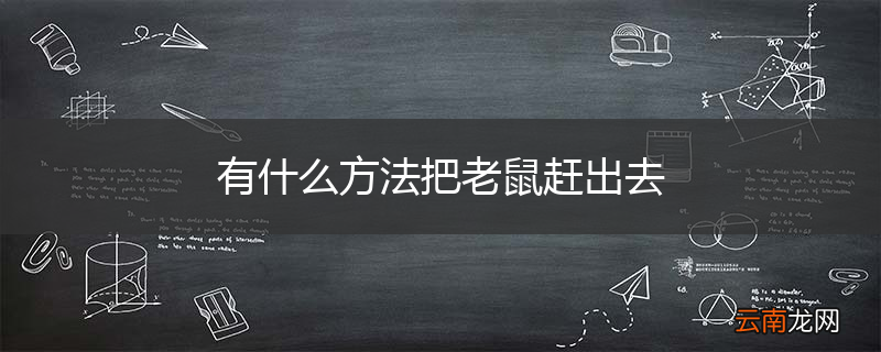 有什么方法把老鼠赶出去