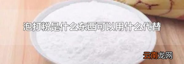 泡打粉是什么东西可以用什么代替