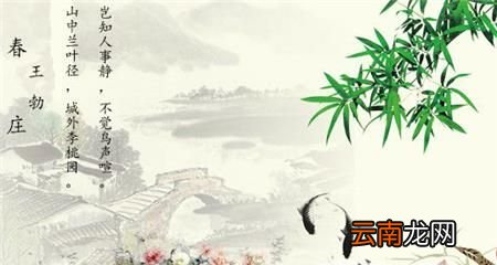 描写春天的诗句有哪些？