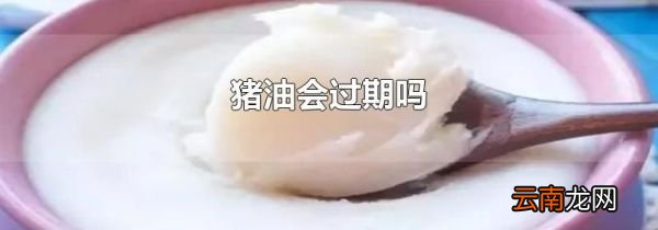 猪油会过期吗
