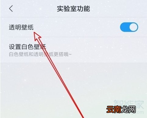 小米9透明壁纸怎么关闭