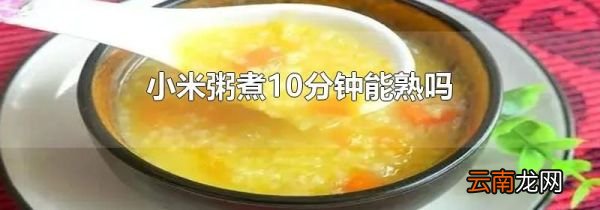 小米粥煮10分钟能熟吗