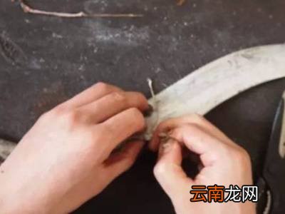 怎么杀带鱼