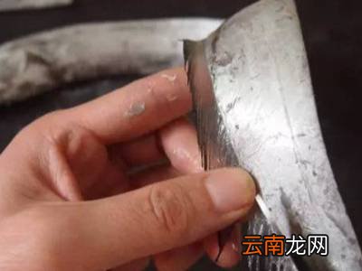 怎么杀带鱼