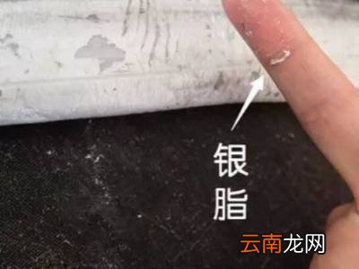 怎么杀带鱼