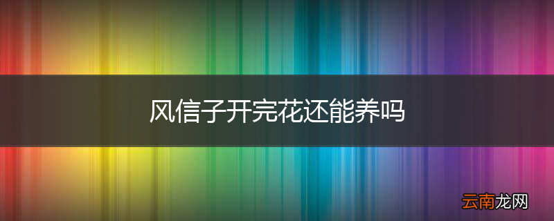 风信子开完花还能养吗