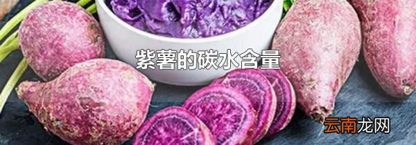 紫薯的碳水含量