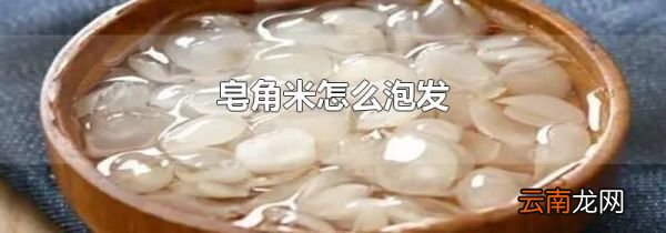皂角米怎么泡发