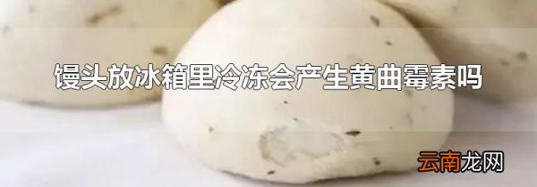 馒头放冰箱里冷冻会产生黄曲霉素吗