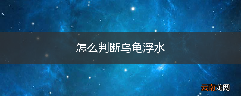 怎么判断乌龟浮水