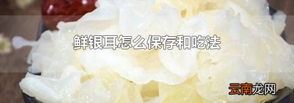 鲜银耳怎么保存和吃法