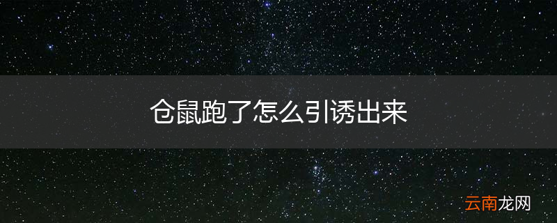 仓鼠跑了怎么引诱出来