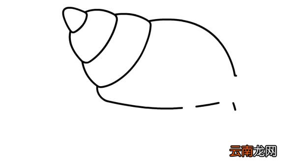 海蜗牛简笔画教程海蜗牛简笔画画法