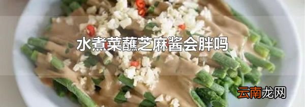 水煮菜蘸芝麻酱会胖吗