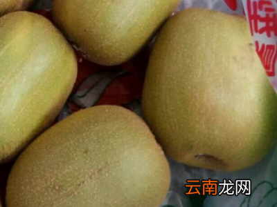 奇异果如何保存